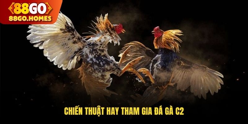 Chiến thuật hay tham gia đá gà C2